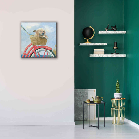Image of 'Beach Ride V' by James Wiens, Canvas Wall Art,26 x 26