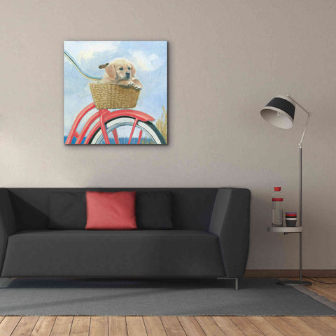 Image of 'Beach Ride V' by James Wiens, Canvas Wall Art,37 x 37