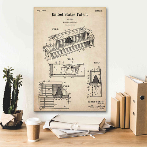 Image of 'Queen and Drone Trap Blueprint Patent Parchment,' Canvas Wall Art,18 x 26