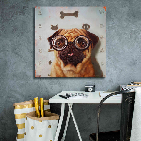 Image of 'Canine Eye Exam' by Lucia Heffernan, Canvas Wall Art,26x26