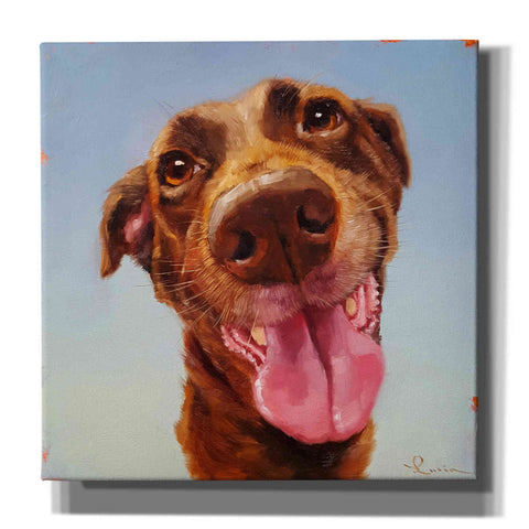 Image of 'Follow Your Nose 5' by Lucia Heffernan, Canvas Wall Art