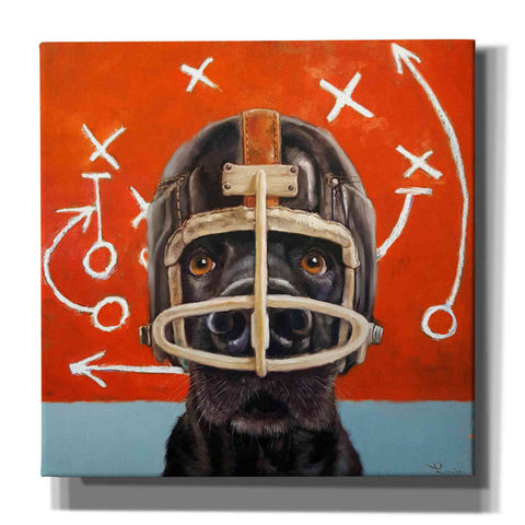Image of 'Rookie' by Lucia Heffernan, Canvas Wall Art