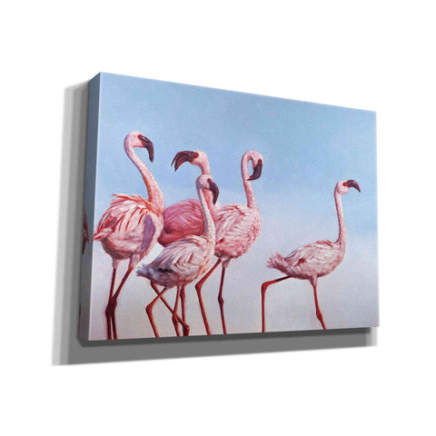 Image of 'Pink Ladies' by Lucia Heffernan, Canvas Wall Art