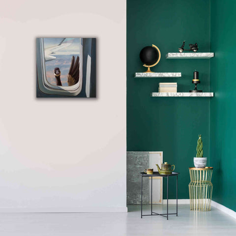 Image of 'Friendly Skies' by Lucia Heffernan, Canvas Wall Art,26x26