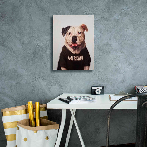 Image of 'Americano' by Lucia Heffernan, Canvas Wall Art,12x16