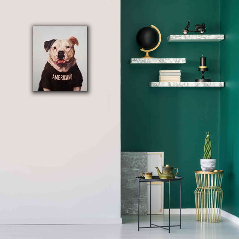 Image of 'Americano' by Lucia Heffernan, Canvas Wall Art,20x24