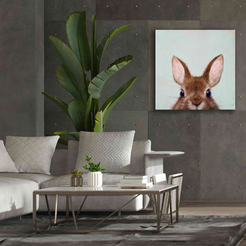 Image of 'Peek a Boo' by Lucia Heffernan, Canvas Wall Art,37x37