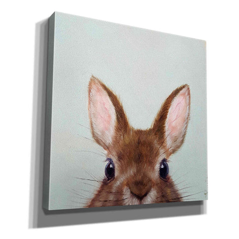 Image of 'Peek a Boo' by Lucia Heffernan, Canvas Wall Art