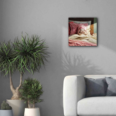 Image of 'Bed Hare' by Lucia Heffernan, Canvas Wall Art,18x18