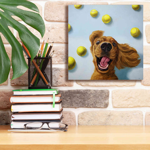 Image of 'Ball Boy' by Lucia Heffernan, Canvas Wall Art,12x12