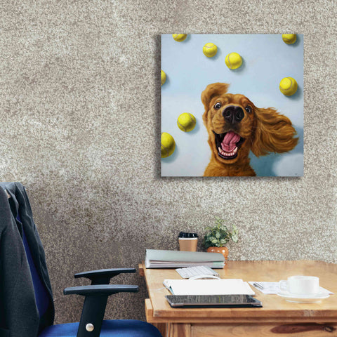 Image of 'Ball Boy' by Lucia Heffernan, Canvas Wall Art,26x26