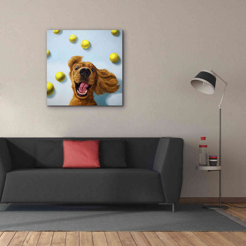 Image of 'Ball Boy' by Lucia Heffernan, Canvas Wall Art,37x37