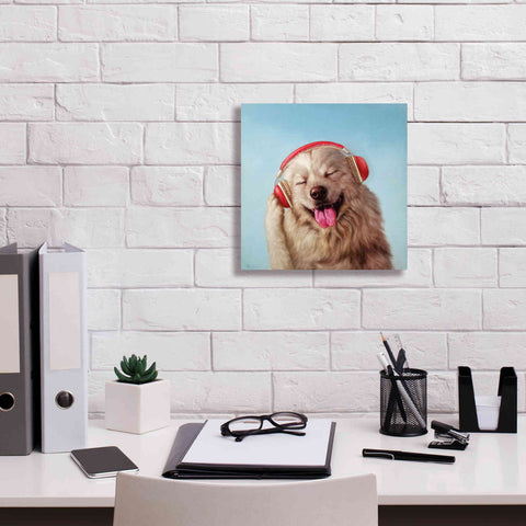 Image of 'Woof Jam' by Lucia Heffernan, Canvas Wall Art,12x12