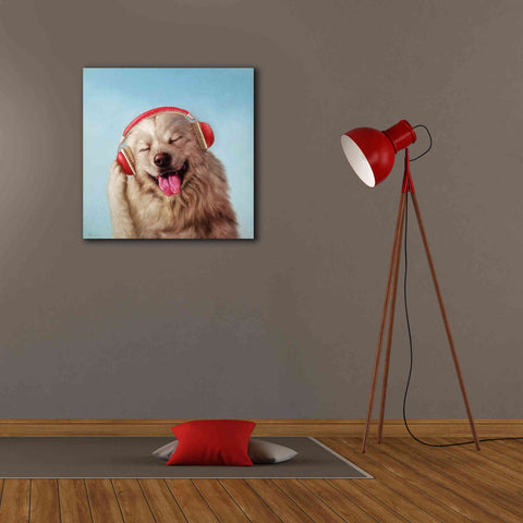 Image of 'Woof Jam' by Lucia Heffernan, Canvas Wall Art,26x26