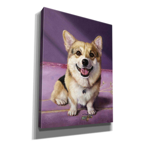 Image of 'Winnie' by Lucia Heffernan, Canvas Wall Art