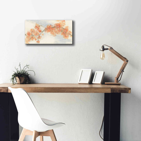 Image of 'Peach Blossom II' by Chris Paschke, Canvas Wall Art,24 x 12