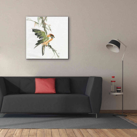 Image of 'Formosan Firecrest' by Chris Paschke, Canvas Wall Art,37 x 37