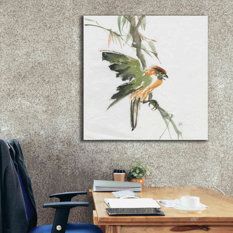 Image of 'Formosan Firecrest' by Chris Paschke, Canvas Wall Art,37 x 37