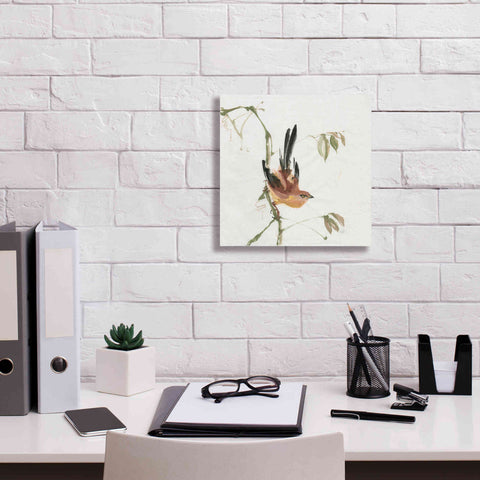 Image of 'Mountain Bush Warbler' by Chris Paschke, Canvas Wall Art,12 x 12