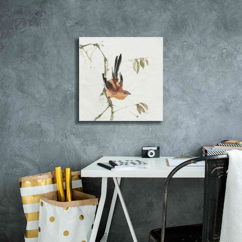 Image of 'Mountain Bush Warbler' by Chris Paschke, Canvas Wall Art,18 x 18