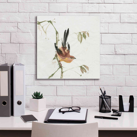 Image of 'Mountain Bush Warbler' by Chris Paschke, Canvas Wall Art,18 x 18