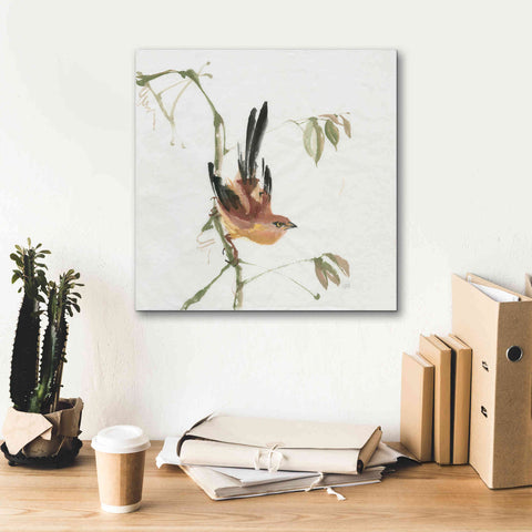Image of 'Mountain Bush Warbler' by Chris Paschke, Canvas Wall Art,18 x 18