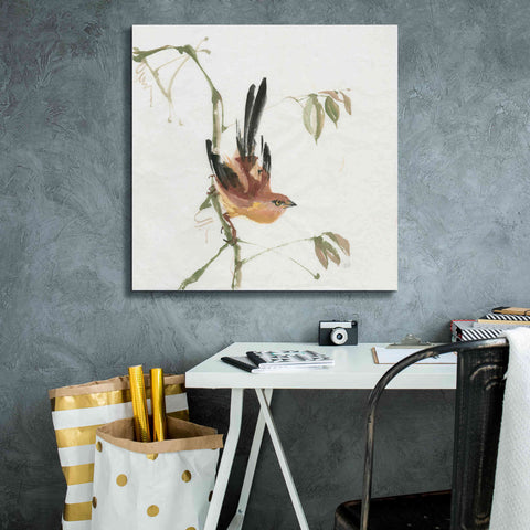 Image of 'Mountain Bush Warbler' by Chris Paschke, Canvas Wall Art,26 x 26