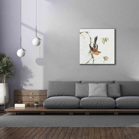 Image of 'Mountain Bush Warbler' by Chris Paschke, Canvas Wall Art,37 x 37
