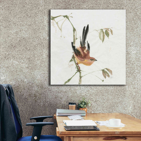 Image of 'Mountain Bush Warbler' by Chris Paschke, Canvas Wall Art,37 x 37
