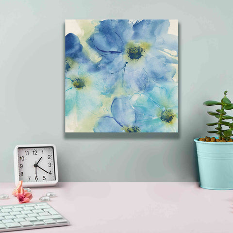 Image of 'Seashell Cosmos I' by Chris Paschke, Canvas Wall Art,12 x 12