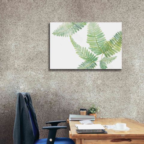 Image of 'Ferns II' by Chris Paschke, Canvas Wall Art,40 x 26