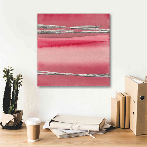 Image of 'Silver Rose I' by Chris Paschke, Canvas Wall Art,18 x 18