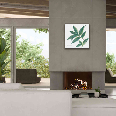 Image of 'Bay Leaf' by Chris Paschke, Canvas Wall Art,26 x 26