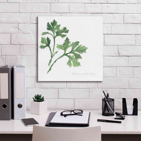Image of 'Italian Parsley' by Chris Paschke, Canvas Wall Art,18 x 18