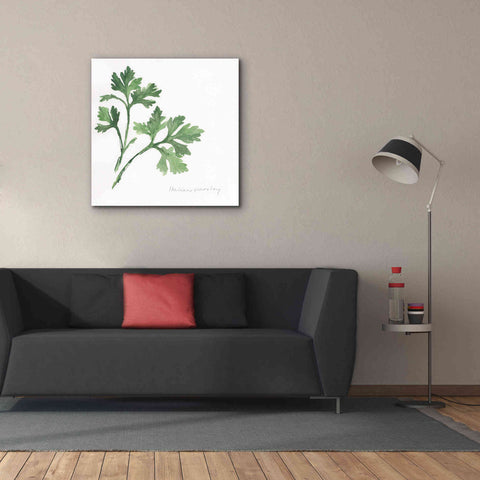 Image of 'Italian Parsley' by Chris Paschke, Canvas Wall Art,37 x 37