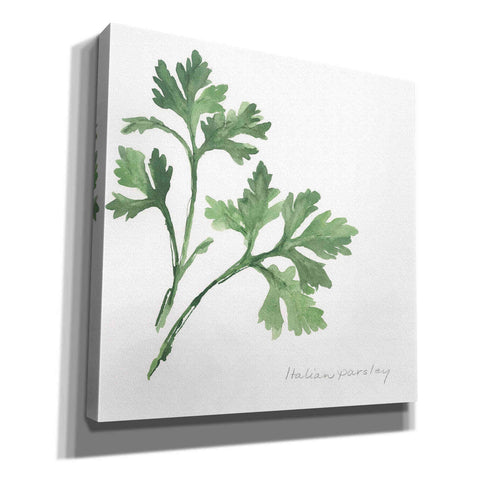 Image of 'Italian Parsley' by Chris Paschke, Canvas Wall Art