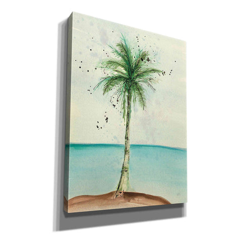 Image of 'African Oil Palm II' by Chris Paschke, Canvas Wall Art
