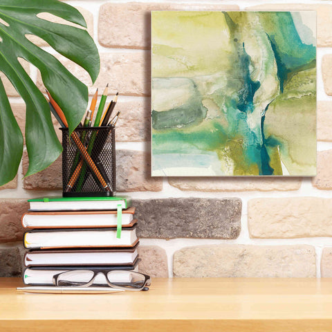 Image of 'Perfection' by Chris Paschke, Canvas Wall Art,12 x 12