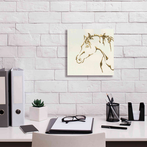 Image of 'Gilded Cowpony' by Chris Paschke, Giclee Canvas Wall Art,12 x 12