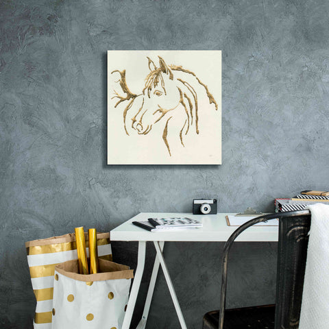Image of 'Gilded Mare' by Chris Paschke, Giclee Canvas Wall Art,18 x 18