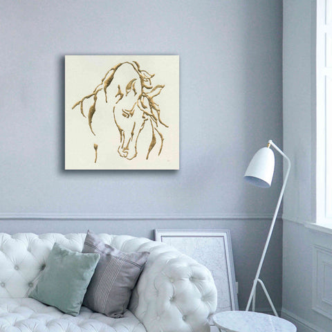 Image of 'Gilded Stallion' by Chris Paschke, Giclee Canvas Wall Art,37 x 37
