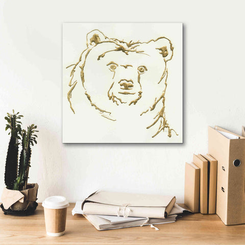 Image of 'Gilded Brown Bear' by Chris Paschke, Giclee Canvas Wall Art,18 x 18