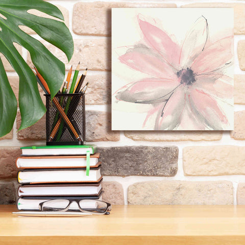 Image of 'Blush Clematis I' by Chris Paschke, Giclee Canvas Wall Art,12 x 12
