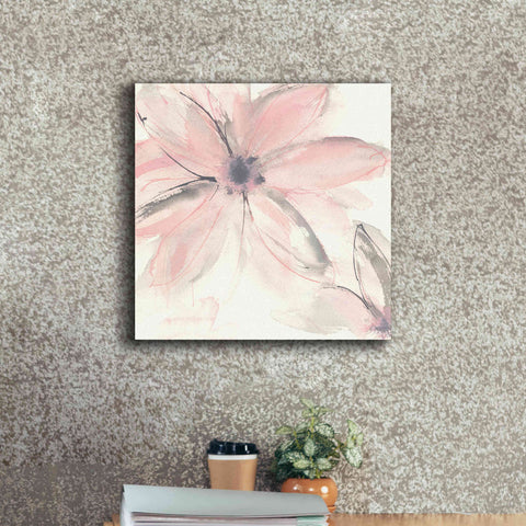 Image of 'Blush Clematis II' by Chris Paschke, Giclee Canvas Wall Art,18 x 18