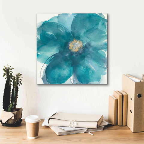 Image of 'Bloom Beauty II' by Chris Paschke, Giclee Canvas Wall Art,18 x 18