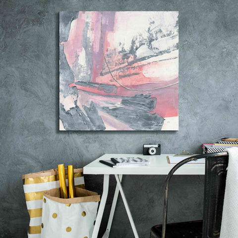 Image of 'Whitewashed Blush I' by Chris Paschke, Giclee Canvas Wall Art,26 x 26