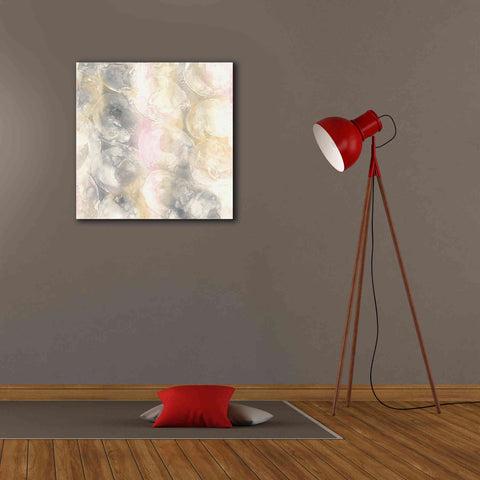 Image of 'Blush Circles II' by Chris Paschke, Giclee Canvas Wall Art,26 x 26
