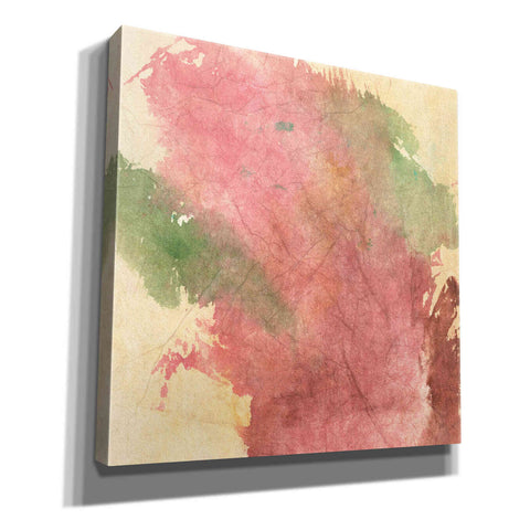 Image of 'Rouge Growth I' by Chris Paschke, Giclee Canvas Wall Art
