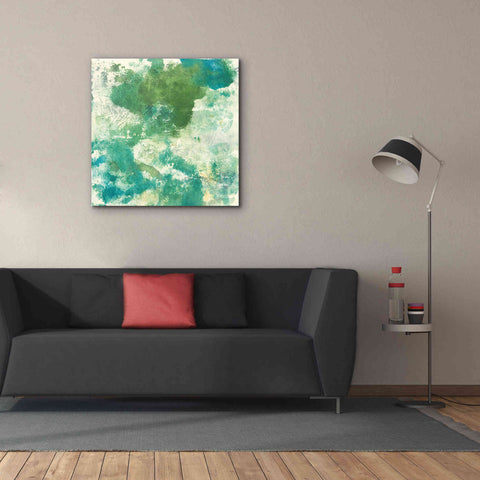Image of 'Mossy Rock II' by Chris Paschke, Giclee Canvas Wall Art,37 x 37