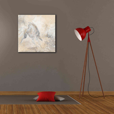 Image of 'Grey Horse I' by Chris Paschke, Giclee Canvas Wall Art,26 x 26